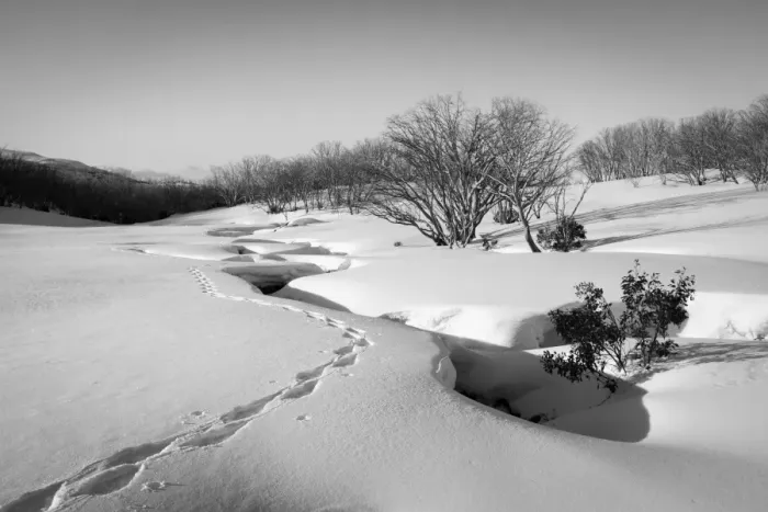 Framed Print : Tawonga Hut Creek in winter Framed Print : Tawonga Hut Creek in winter