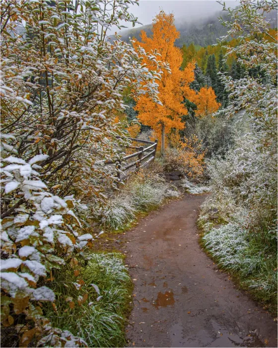 Framed Print : Telluride, Colorado, south western United States of America