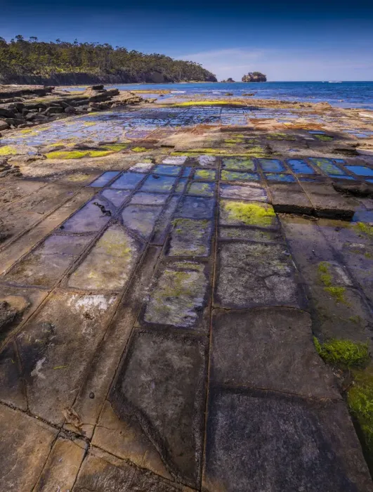 Framed Print : Tessalated pavement, Tasman Peninsula, southern Tasmania Framed Print : Tessalated pavement, Tasman Peninsula, southern Tasmania