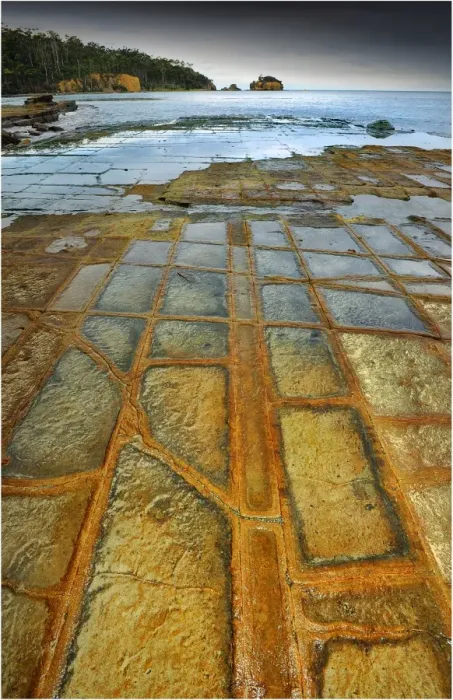 Framed Print : Tessalated pavement, Tasman Peninsular, Tasmania, Australia