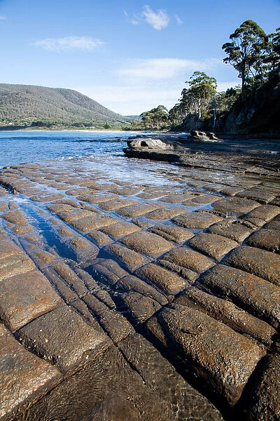 Tessellated pavement. Tasmania, Australia