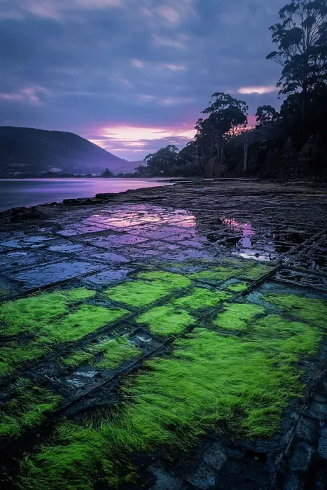 Framed Print : The Tessellated pavements at sunset