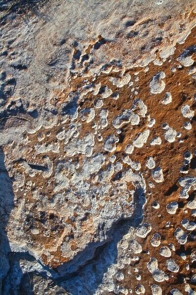 Textured Rock
