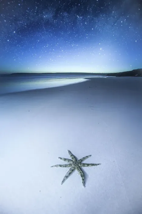 Framed Print : Thousands of stars and a starfish. Starfish on a beach at night. The night sky, stars and night sky in the background. Wreck Beach. Sleaford Bay. Eyre Peninsula. South Australia