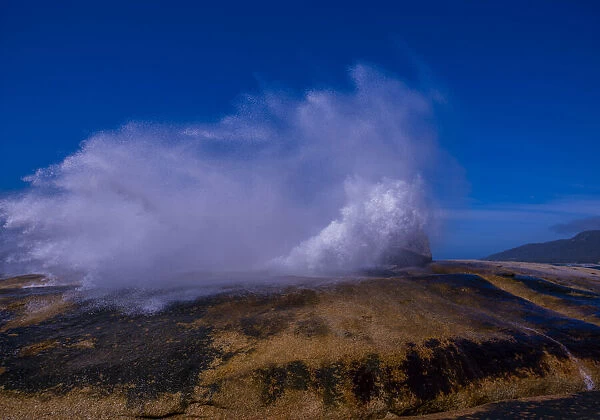Thundering blowhole erupts on the Bicheno coastline, East coast of Tasmania