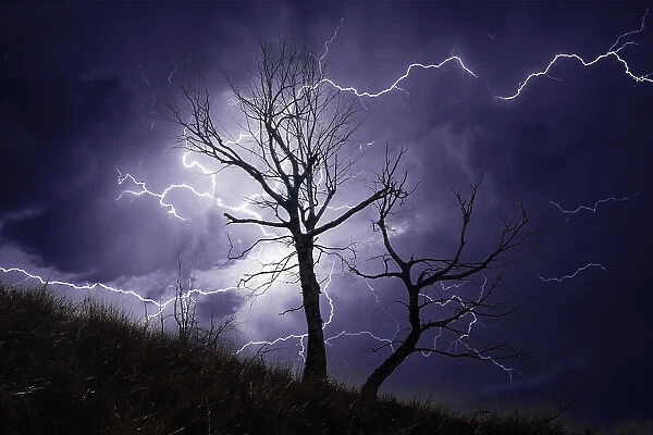 Thunderstorm over a dead tree