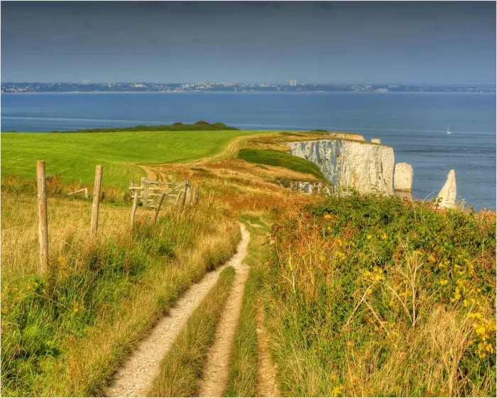 Framed Print : The track along the coastline towards Old Harry Rocks, Dorset, England, United Kingdom Framed Print : The track along the coastline towards Old Harry Rocks, Dorset, England, United Kingdom