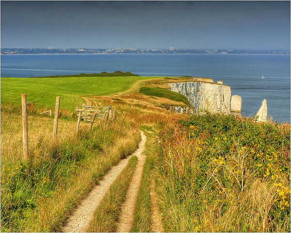 The track along the coastline towards Old Harry Rocks, Dorset, England, United Kingdom