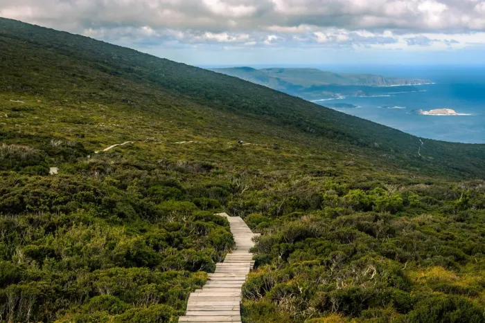 Framed Print : Track at the top of Ironbound Range, South Coast track, Southwest Tasmania