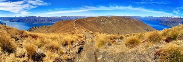 Trail to Isthmus Peak Wanaka