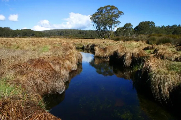 Framed Print : Tranquil creek at Barrington Tops