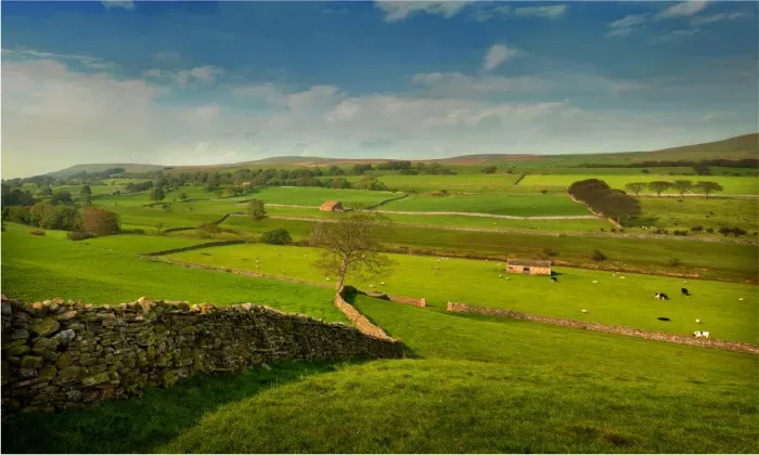 Framed Print : A tranquil view of farmland in the Yorkshire dales, England, United Kingdom