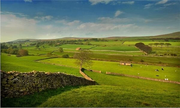 A tranquil view of farmland in the Yorkshire dales, England, United Kingdom