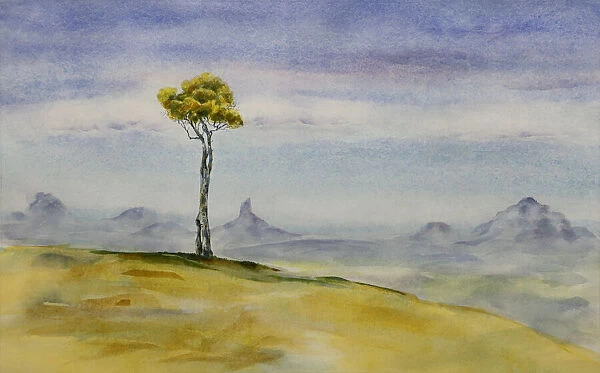 Tree on a Hill with Mountains in Distance at Maleny Watercolor
