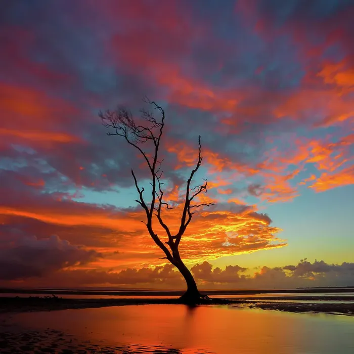 Framed Print : Tree at low tide