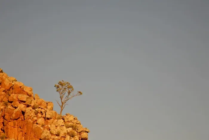 Framed Print : Tree on a rocky cliff Framed Print : Tree on a rocky cliff