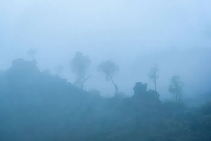 Framed Print : Trees in the fog at West Macdonnell Ranges Framed Print : Trees in the fog at West Macdonnell Ranges