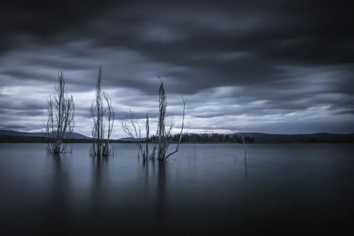 Framed Print : Trees in Lake Jindabyne