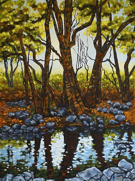 Trees and Rocks Reflected in a River with Afternoon Sunlight Original Landscape Artwork