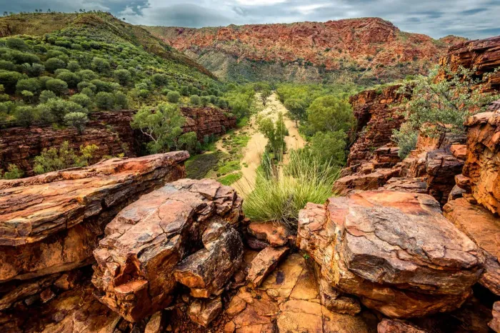 Framed Print : Trephina Gorge