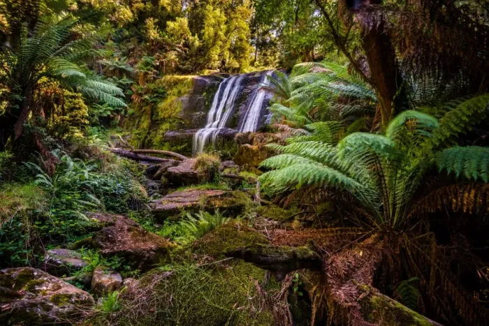 Framed Print : Triplet Falls at Great Otway National Park, Victoria Framed Print : Triplet Falls at Great Otway National Park, Victoria