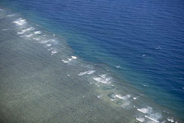 Tropical reef, Great Barrier Reef, Queensland, Australia