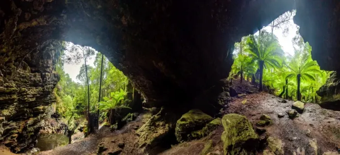 Framed Print : Trowutta Arch in Tarkine Forest, Tasmania