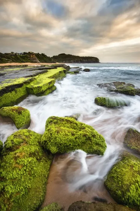 Framed Print : Turimetta beach in Sydney Framed Print : Turimetta beach in Sydney