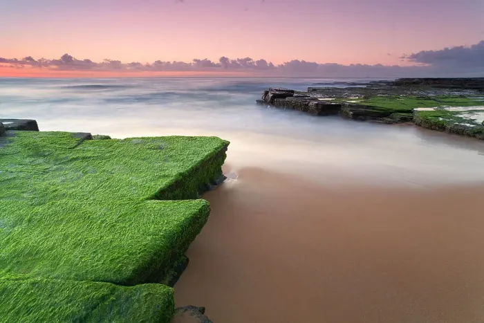 Framed Print : Turimetta Beach, Sydney Framed Print : Turimetta Beach, Sydney