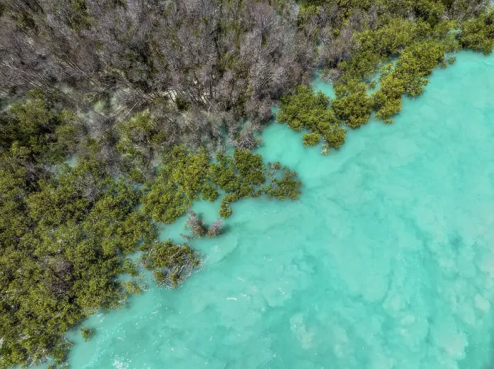 Framed Print : Turquoise waters at the edge of a forest photographed from an aerial perspective, Willie Creek, Western Australia, Australia