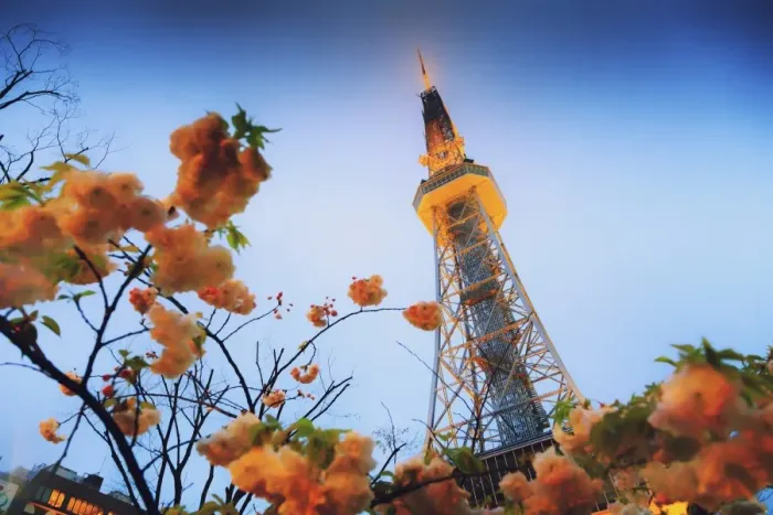 Framed Print : Tv tower, Nagoya