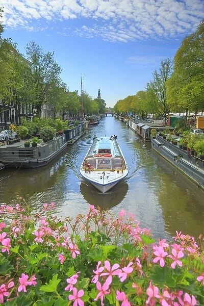 Typical houses along the canals, Amsterdam