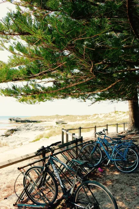 Framed Print : A typical scene on Rottnest Island near Perth Western Australia