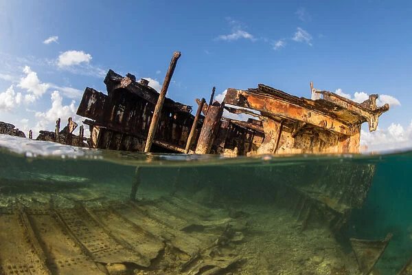 Underwater Heron Island