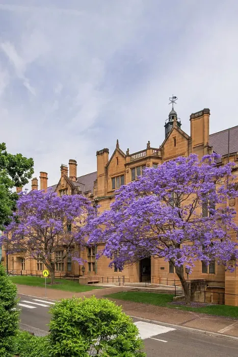Framed Print : University of Sydney, Australia Framed Print : University of Sydney, Australia