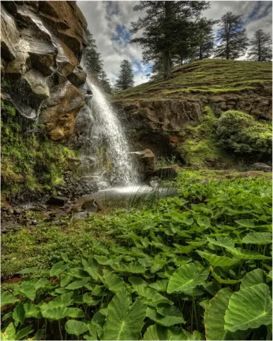 Framed Print : Upper Cockpit falls