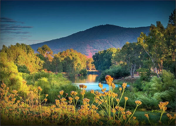 Upper Murray river, Alpine high country, East Gippsland, Walwa, Victoria, Australia
