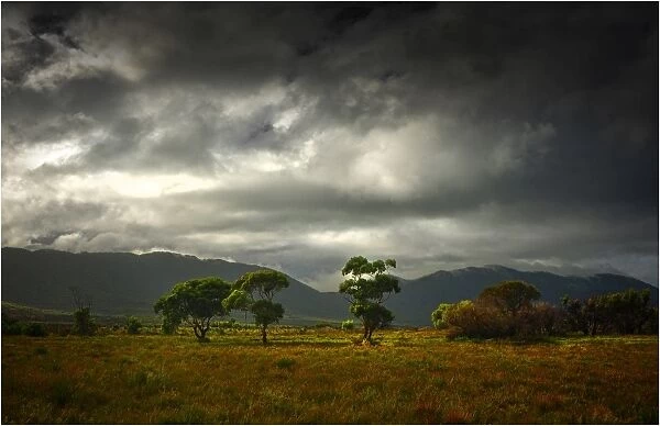 Vereker Range, Wilsons Promotory National Park, Victoria, Australia