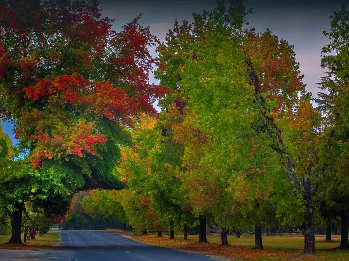 Framed Print : The vibrant autumn colours aound the town of Bright, Ovens Valley, Victoria, Australia Framed Print : The vibrant autumn colours aound the town of Bright, Ovens Valley, Victoria, Australia