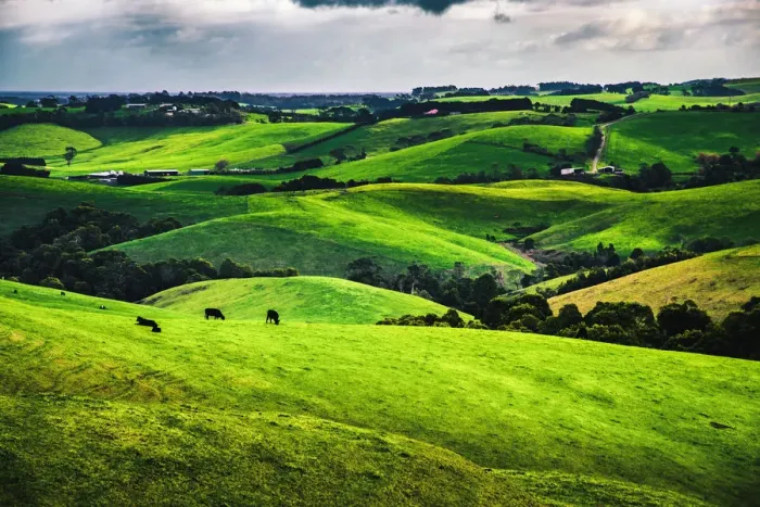 Framed Print : Victoria Gippsland