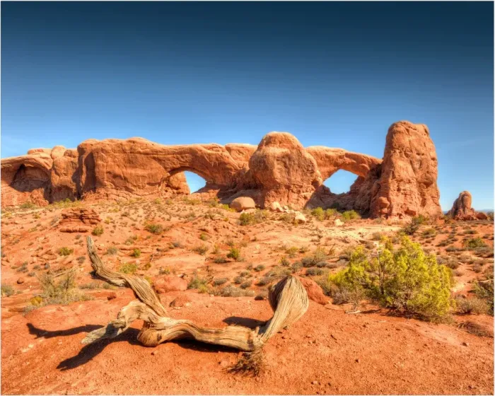 Framed Print : A view of Arches National Park, which is situated in the South-western region of the United States, in the state of Utah Framed Print : A view of Arches National Park, which is situated in the South-western region of the United States, in the state of Utah