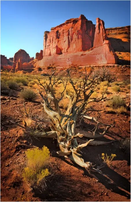 Framed Print : A view of Arches National Park, which is situated in the South-western region of the United States, in the state of Utah