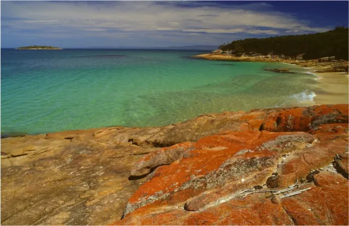 Framed Print : A view of the beach in the Freycinet National park, eastern coastline of Tasmania Framed Print : A view of the beach in the Freycinet National park, eastern coastline of Tasmania