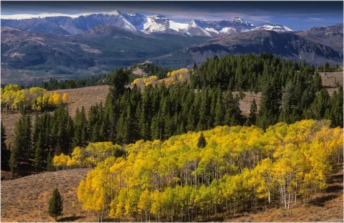Framed Print : A view from the Bear Tooth highway, Montana, United States of America