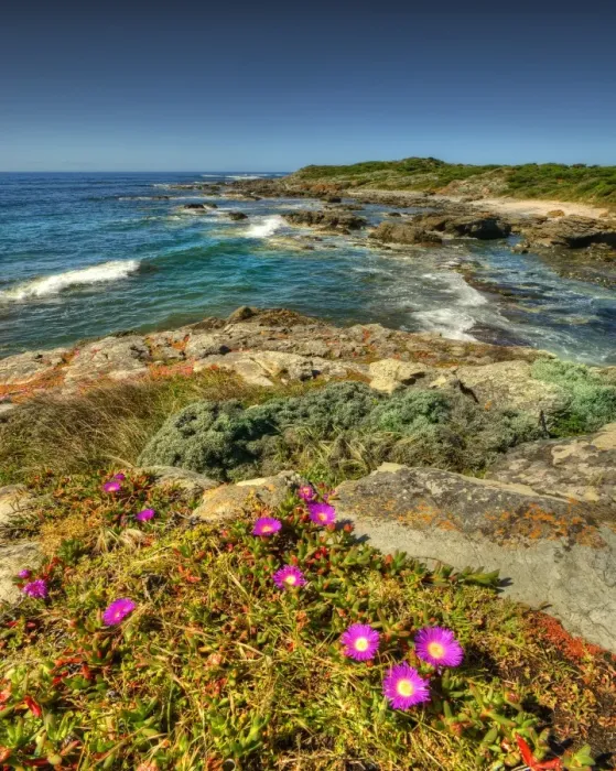Framed Print : The view from Black Point Framed Print : The view from Black Point