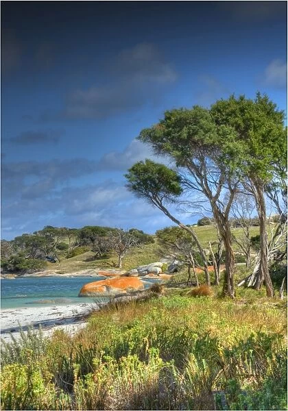 A view of the boulders and rocky coastline at Sawyers Bay on Flinders Island, Bass Strait, Tasmania, Australia