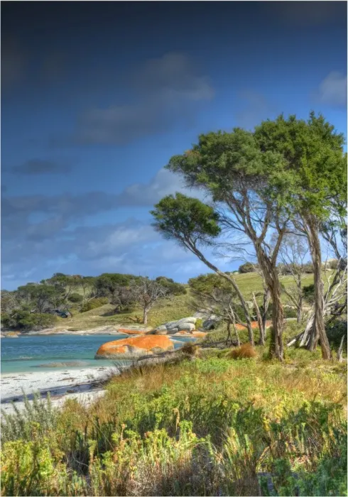 Framed Print : A view of the boulders and rocky coastline at Sawyers Bay on Flinders Island, Bass Strait, Tasmania, Australia Framed Print : A view of the boulders and rocky coastline at Sawyers Bay on Flinders Island, Bass Strait, Tasmania, Australia