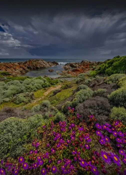 Framed Print : View to British Admiral beach King Island Framed Print : View to British Admiral beach King Island