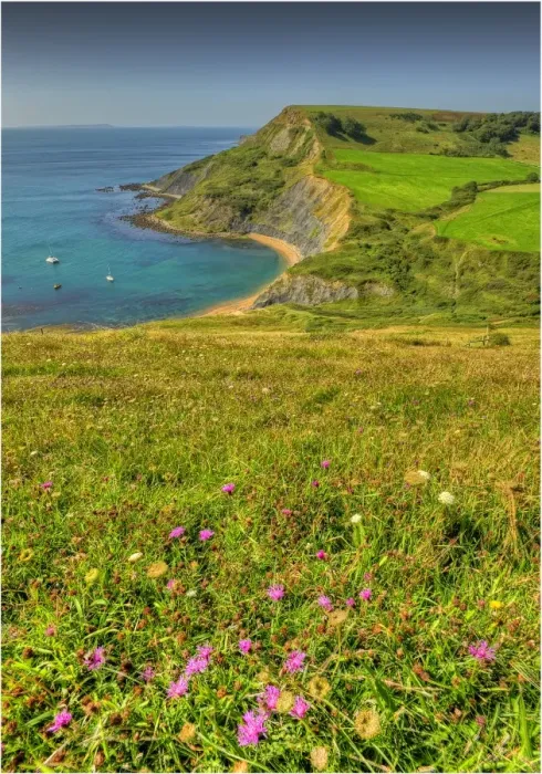 Framed Print : View to Chapmans pool on the coastline of Dorset England