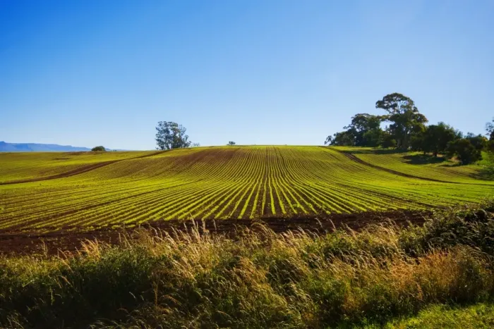 Framed Print : View of Clear Blue Sky with Vegetable Farm in the Foreground in Devonport, North Tasmania, Australia